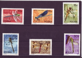 PL 3134 / 3139 ** - 1988